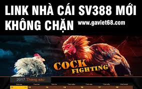 Đấu trường đá gà Online SV388